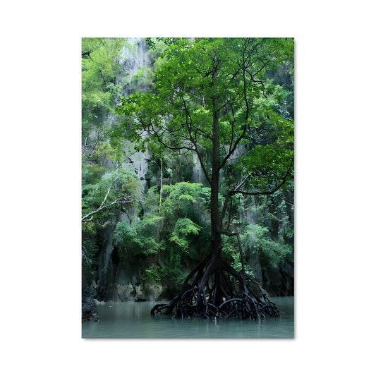 Poster Arbre des Eaux