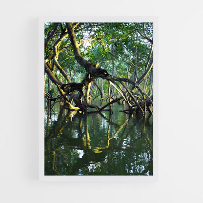 ap-mangrove-2 cadre Blanc