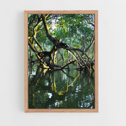ap-mangrove-2 cadre Bois clair