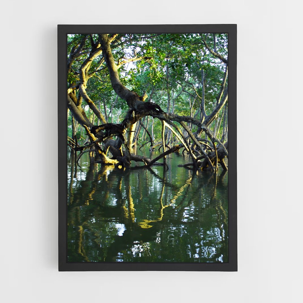 ap-mangrove-2 cadre Noir
