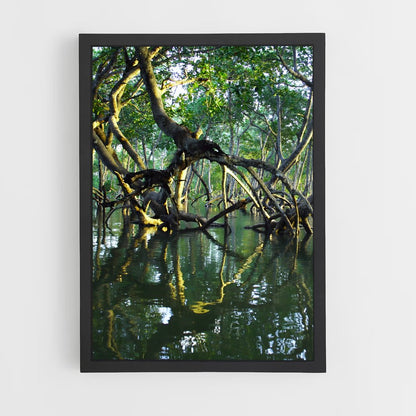 ap-mangrove-2 cadre Noir