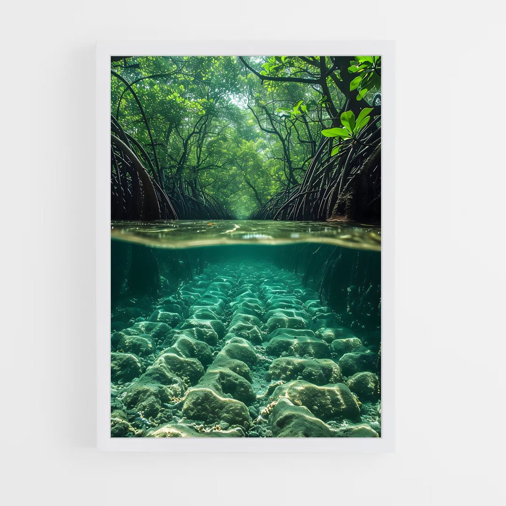 ap-mangrove-3 cadre Blanc