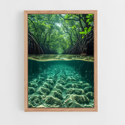 ap-mangrove-3 cadre Bois clair