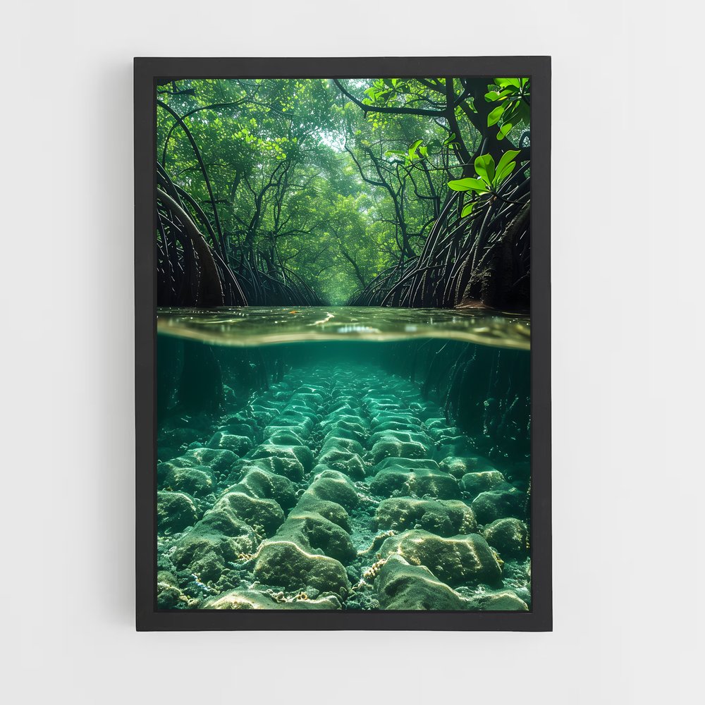 ap-mangrove-3 cadre Noir