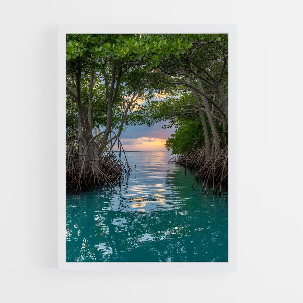 ap-mangrove-4 cadre Blanc