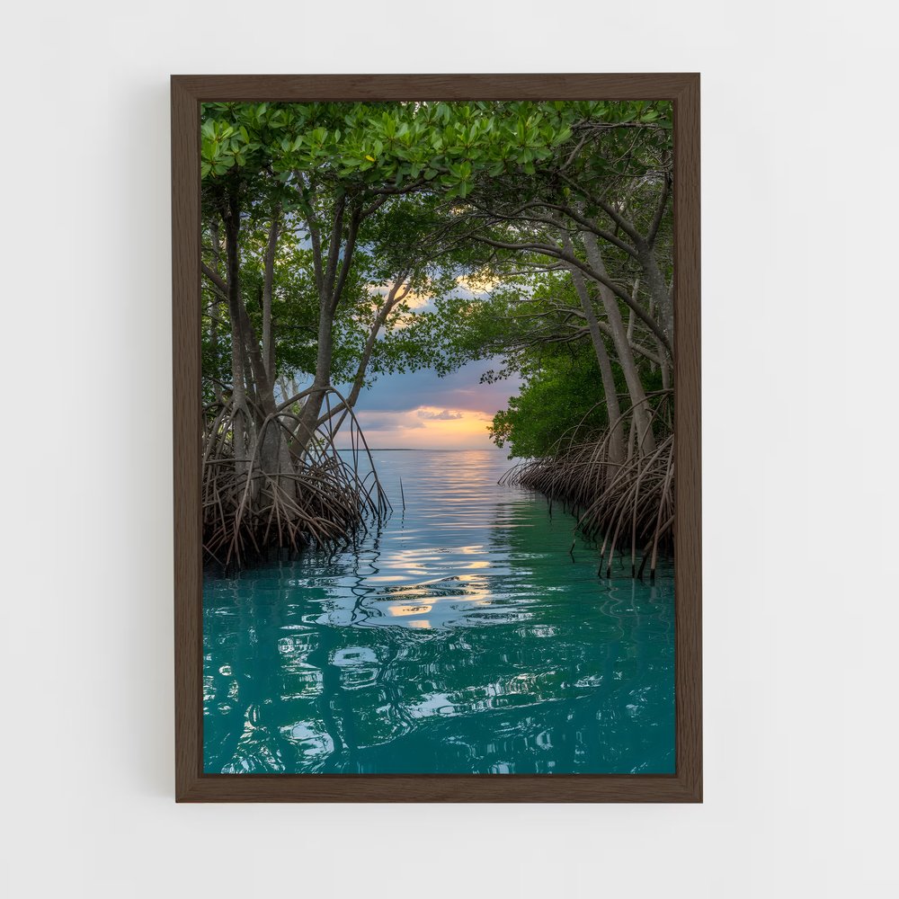 ap-mangrove-4 cadre Bois foncé