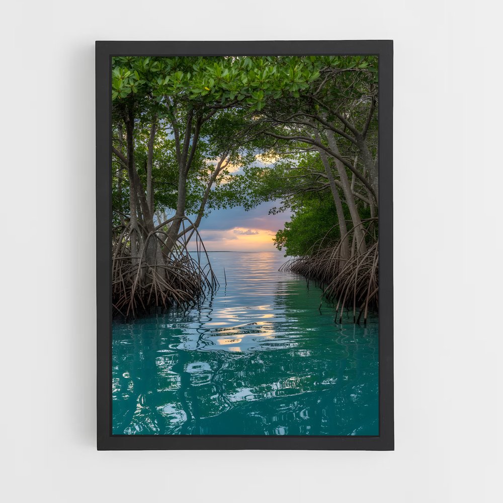 ap-mangrove-4 cadre Noir