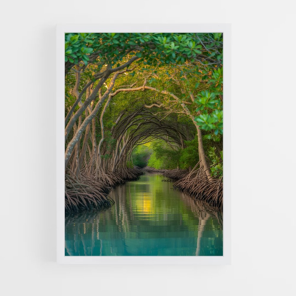 ap-mangrove-5 cadre Blanc