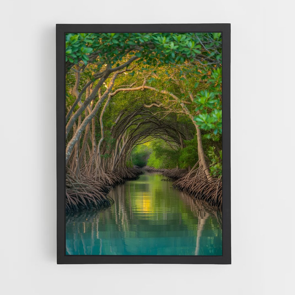 ap-mangrove-5 cadre Noir