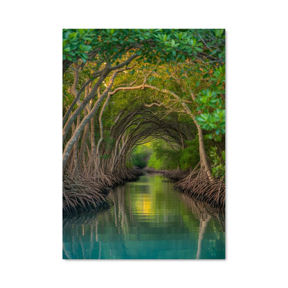 Poster Lever de Mangrove