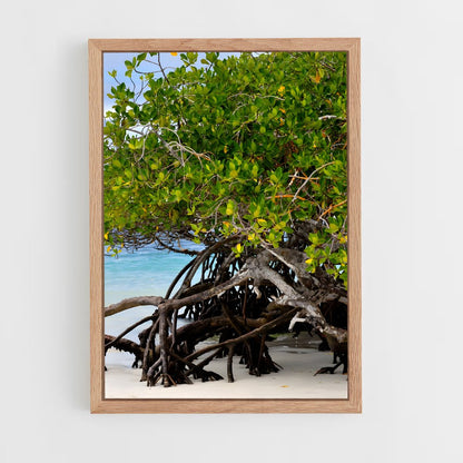 ap-mangrove-9 cadre Bois clair