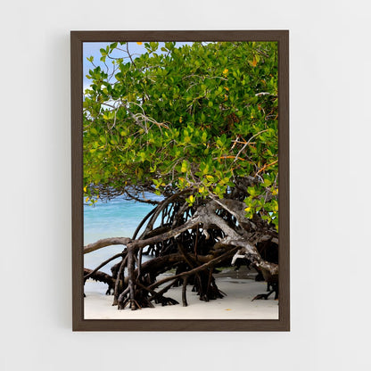 ap-mangrove-9 cadre Bois foncé