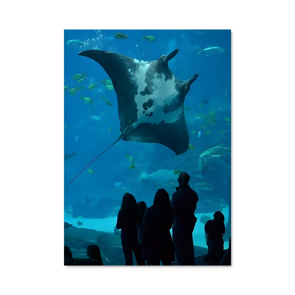 Poster Mystère Marin