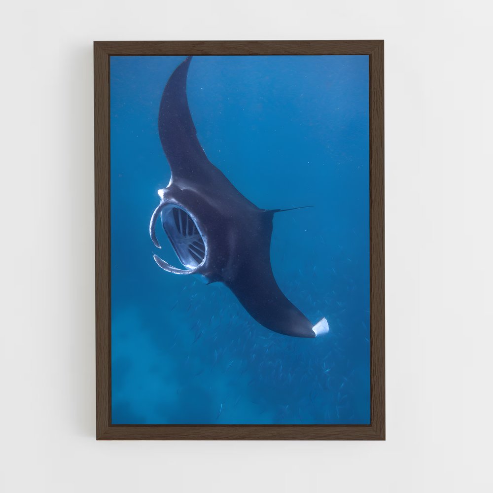 ap-manta ray-3 cadre Bois foncé