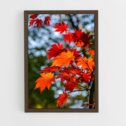 ap-maple-3 cadre Bois foncé