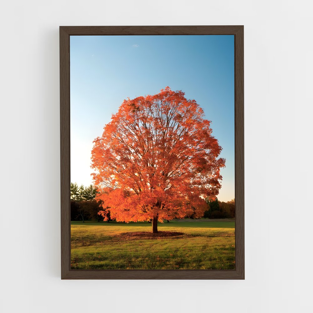 ap-maple-4 cadre Bois foncé