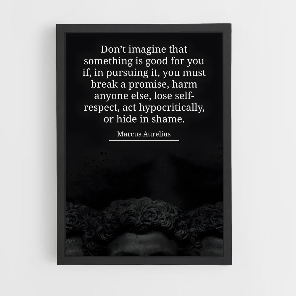 ap-marcus aurelius-2 cadre Noir