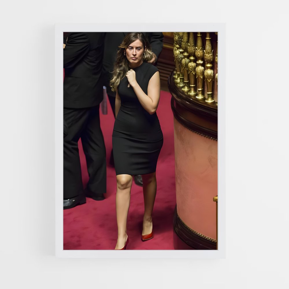 ap-maria elena boschi-6 cadre Blanc