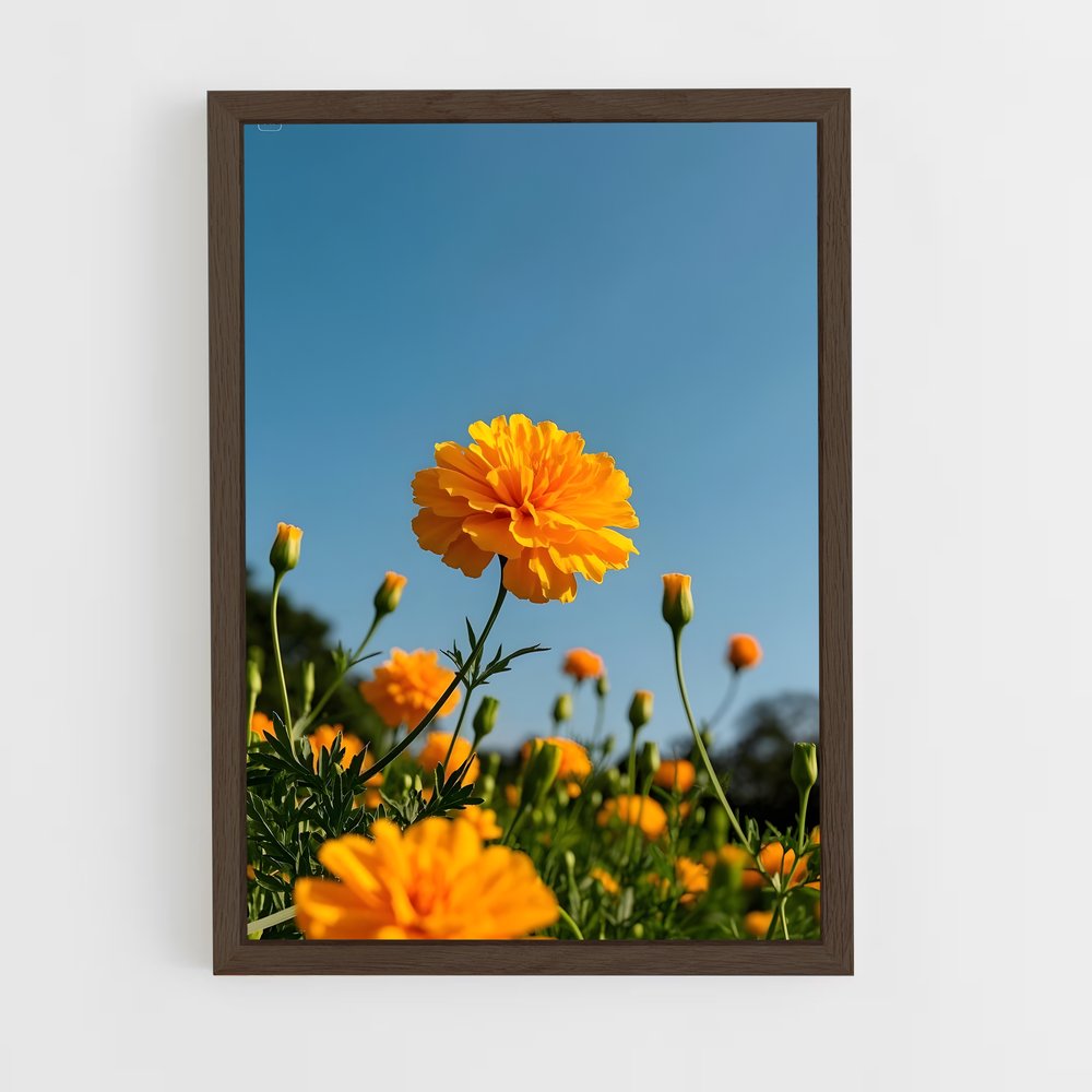 ap-marigold-10 cadre Bois foncé