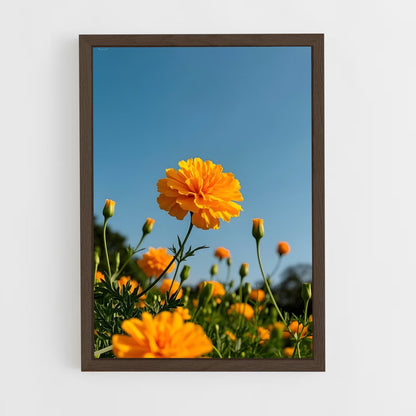 ap-marigold-10 cadre Bois foncé