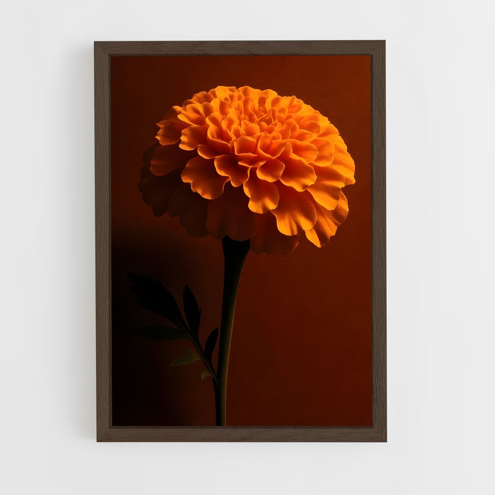 ap-marigold-11 cadre Bois foncé