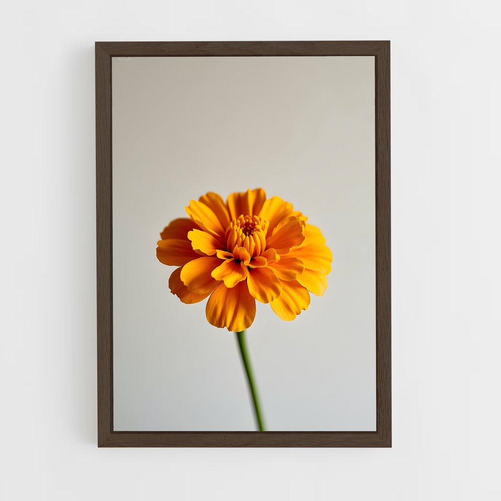 ap-marigold-4 cadre Bois foncé