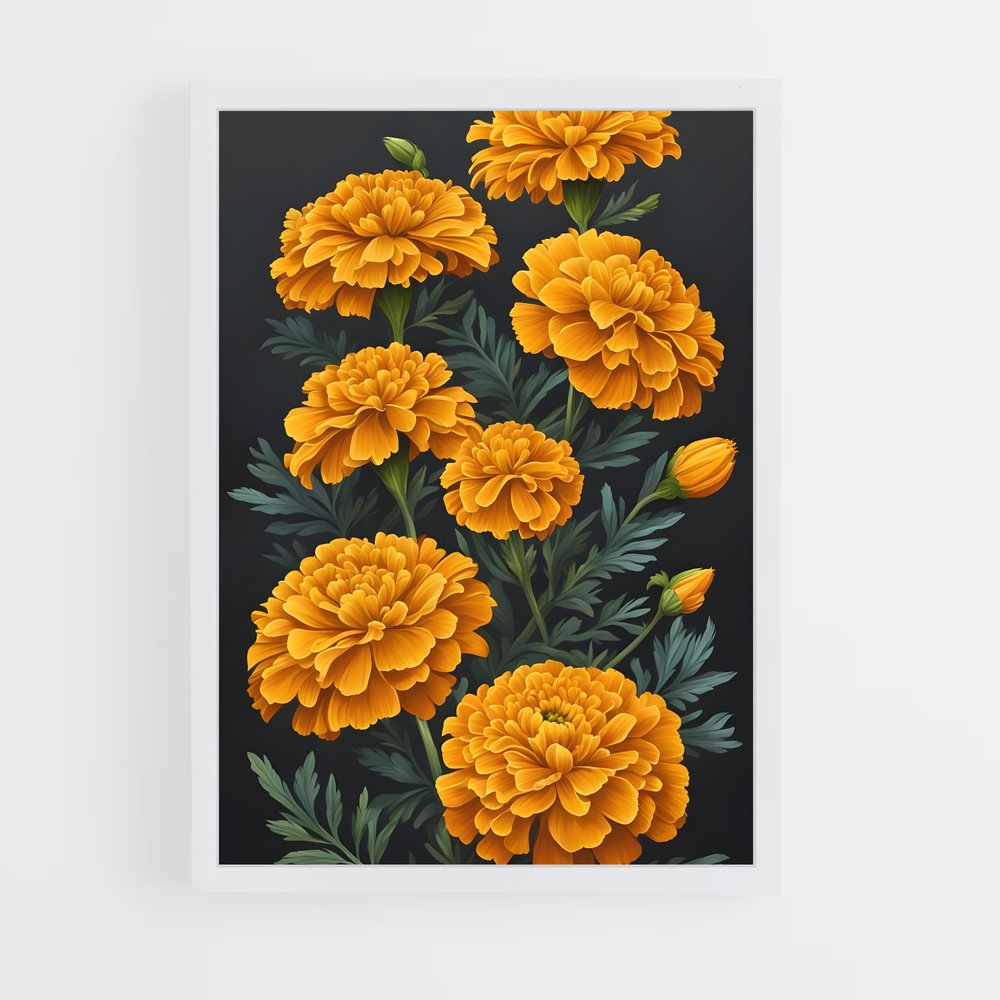 ap-marigold-5 cadre Blanc