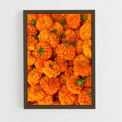 ap-marigold-7 cadre Bois foncé