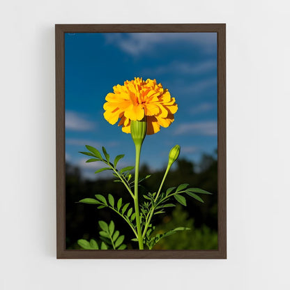 ap-marigold-8 cadre Bois foncé