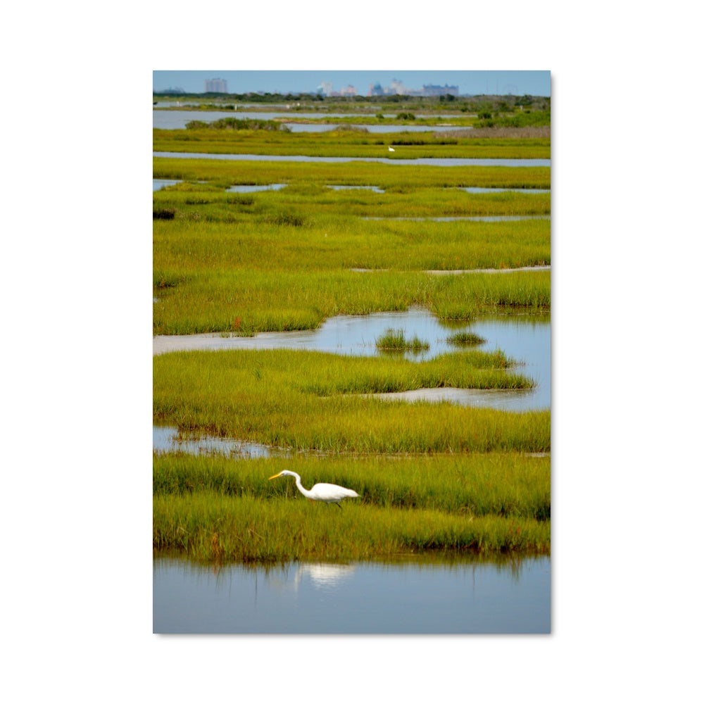 Poster Marsh 96233