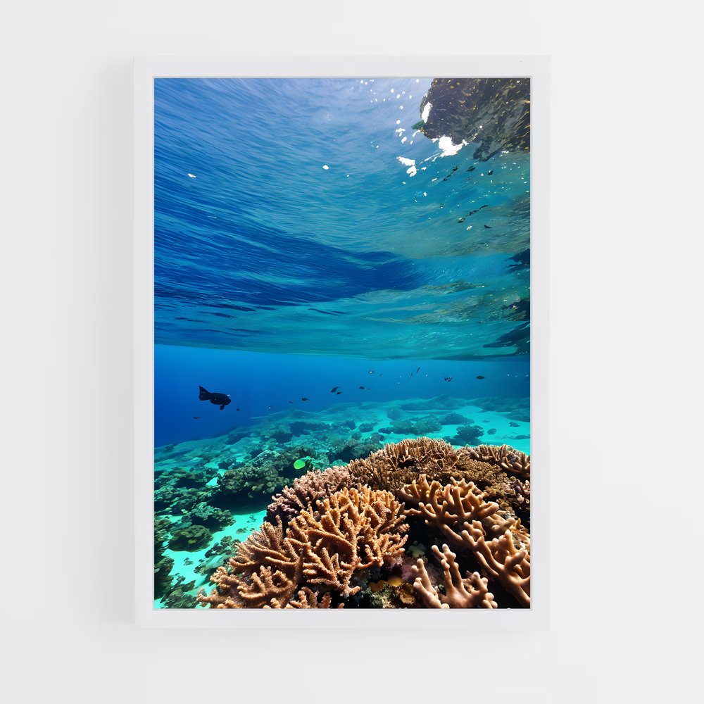 ap-marshall islands-2 cadre Blanc