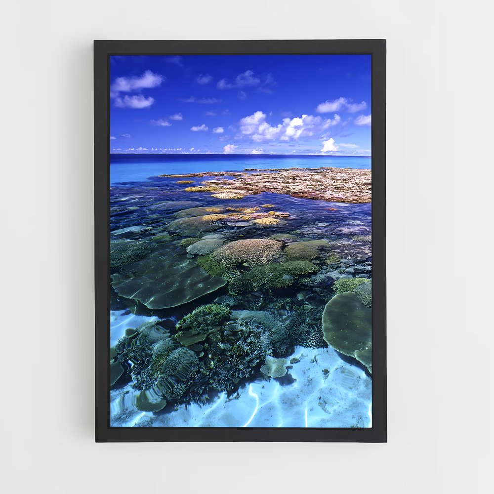 ap-marshall islands-3 cadre Noir