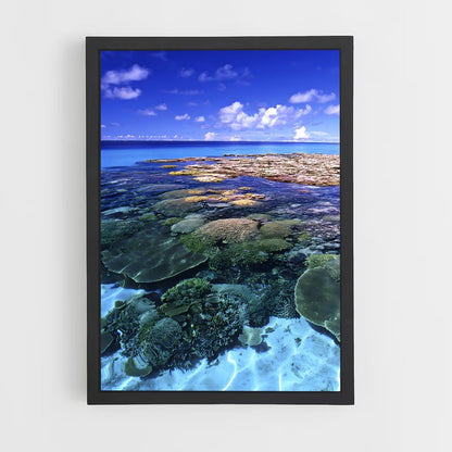ap-marshall islands-3 cadre Noir