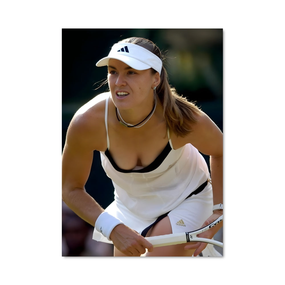 Poster Martina hingis 68832