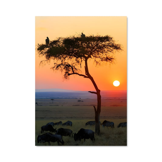Poster Zebra Dance