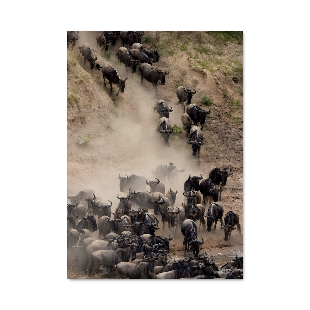 Poster Masai mara 97569