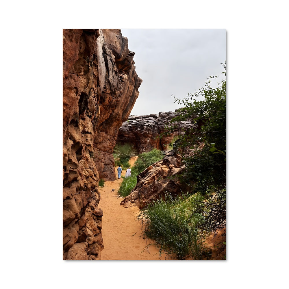 Poster Chemin Rocailleux