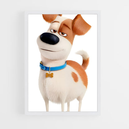 ap-max pets-1 cadre Blanc