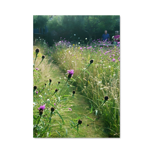 Poster Champ Éblouissant