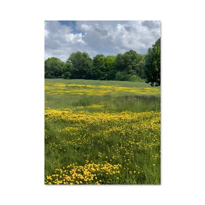 Poster Champ de Miel