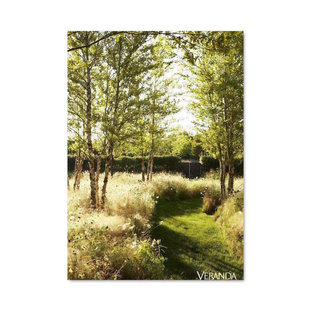 Poster Meadow 97398