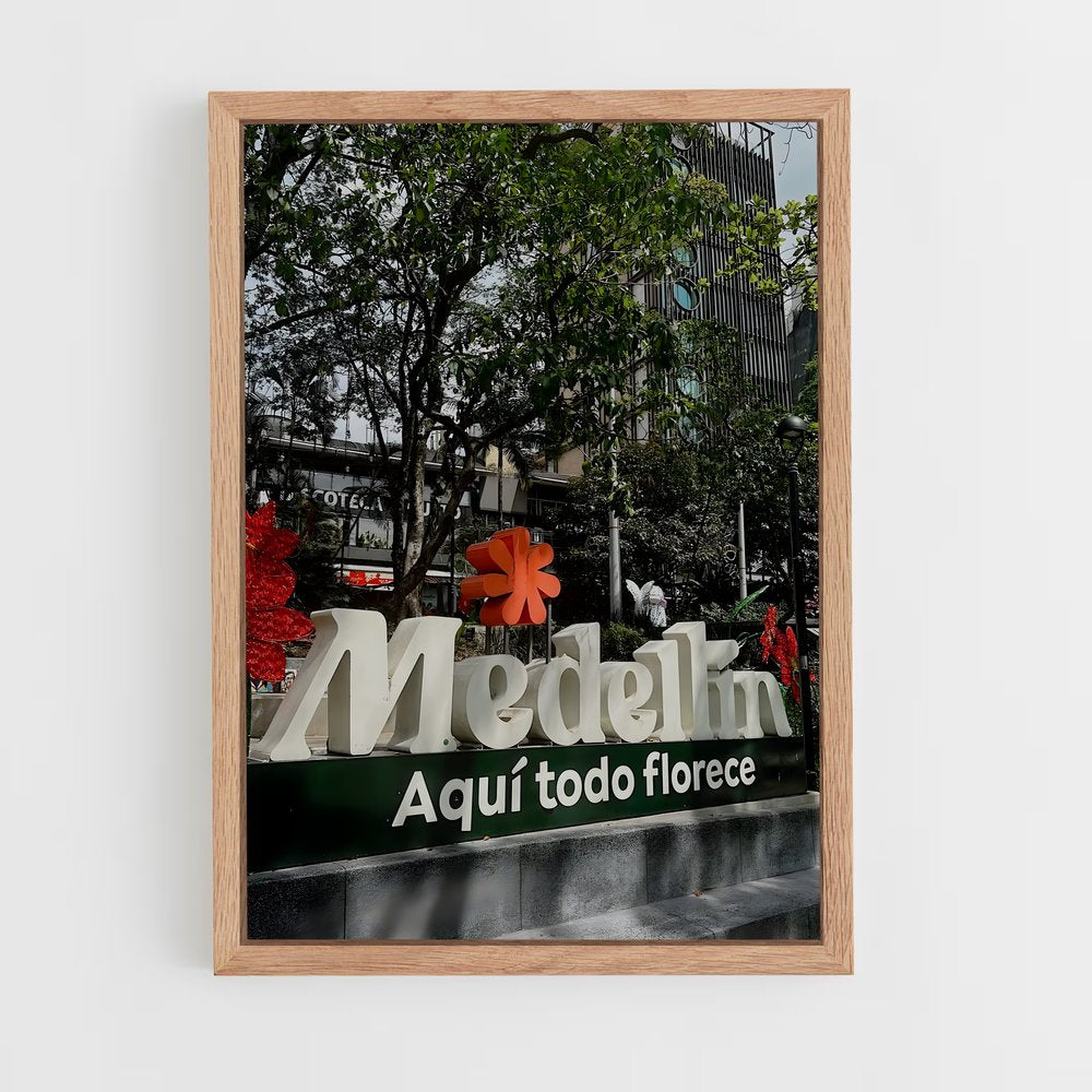 ap-medellin cartel-4 cadre Bois clair