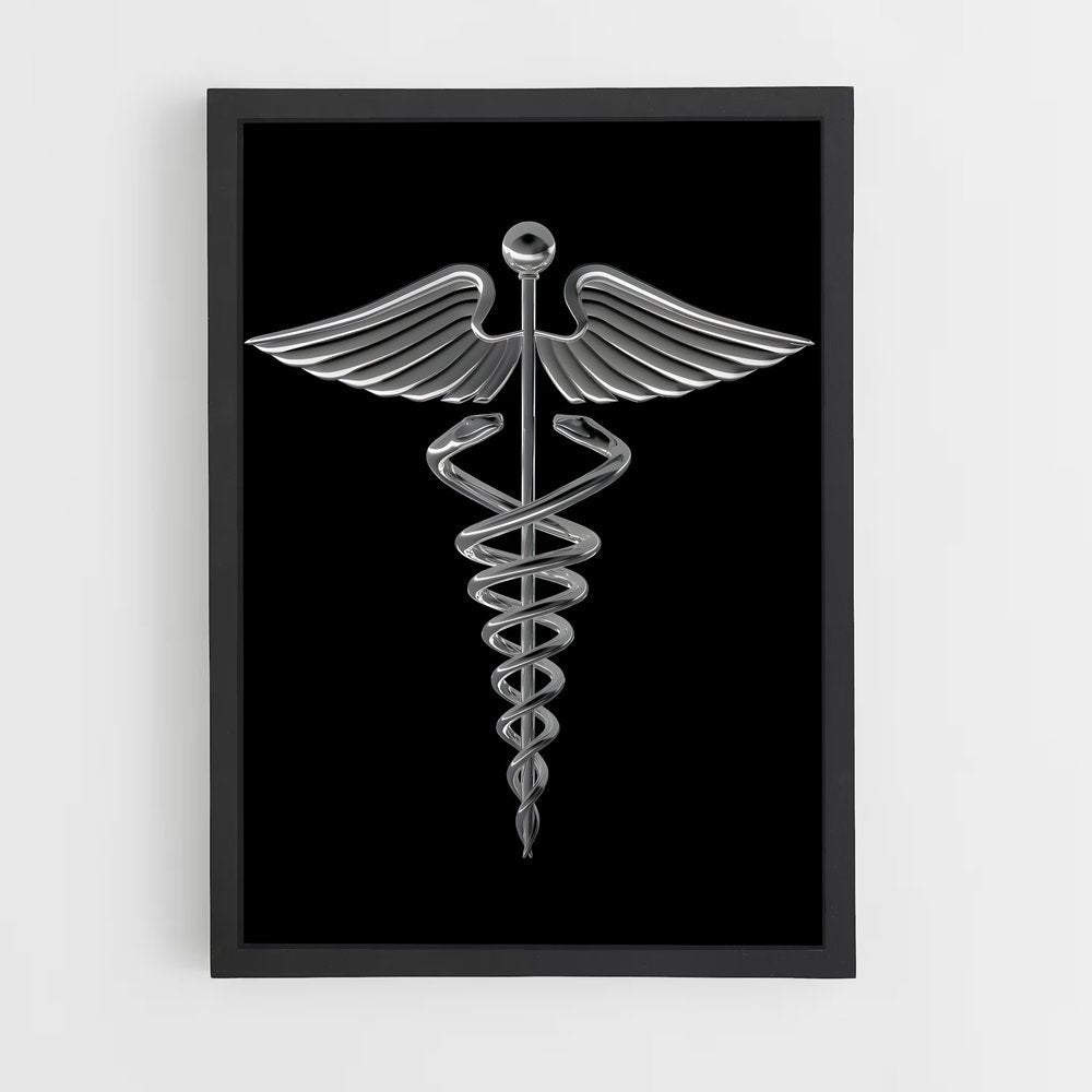 ap-medicine-4 cadre Noir