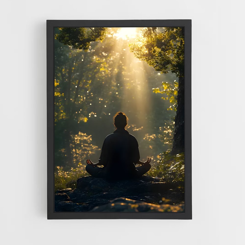 ap-meditation pose-9 cadre Noir
