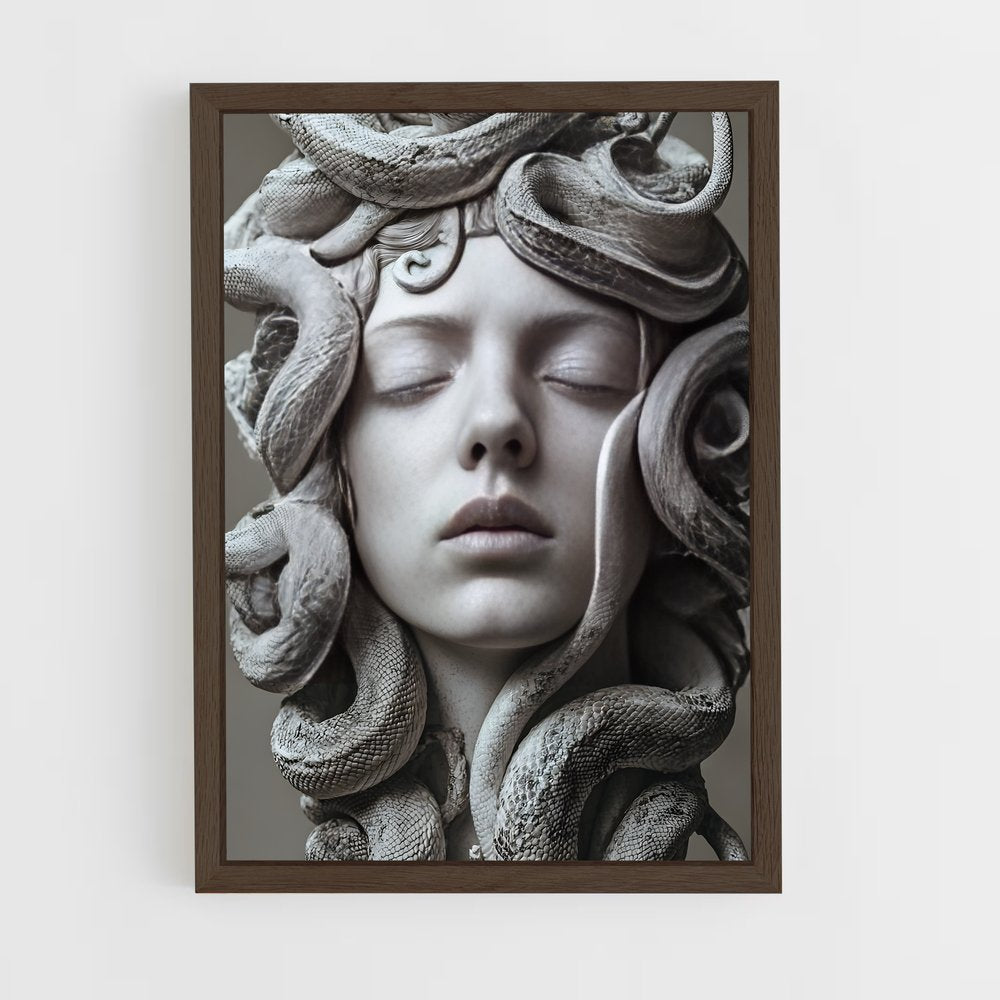 ap-medusa-5 cadre Bois foncé