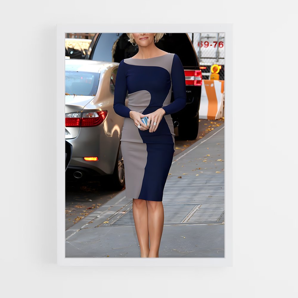 ap-megyn kelly-3 cadre Blanc
