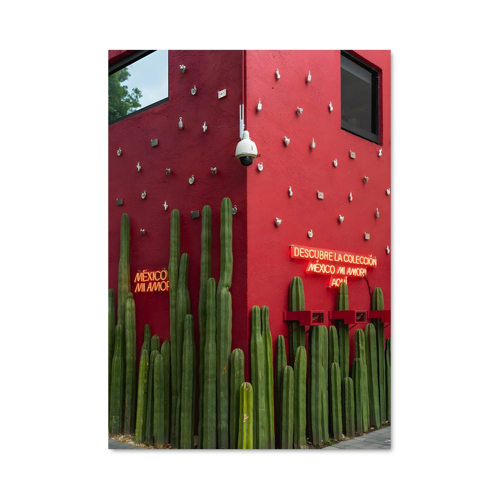 Poster Cactus Rouge