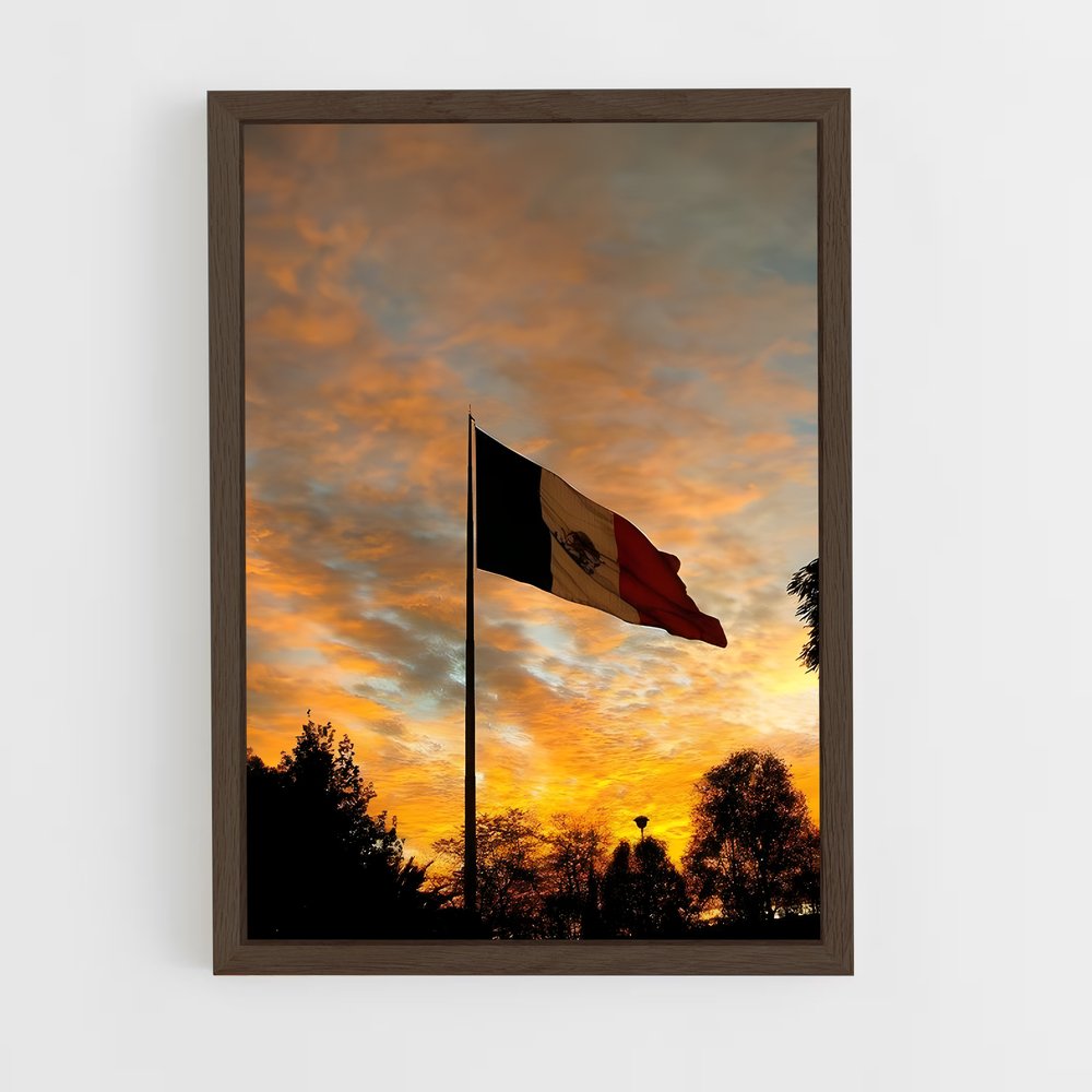 ap-mexico city flag-3 cadre Bois foncé