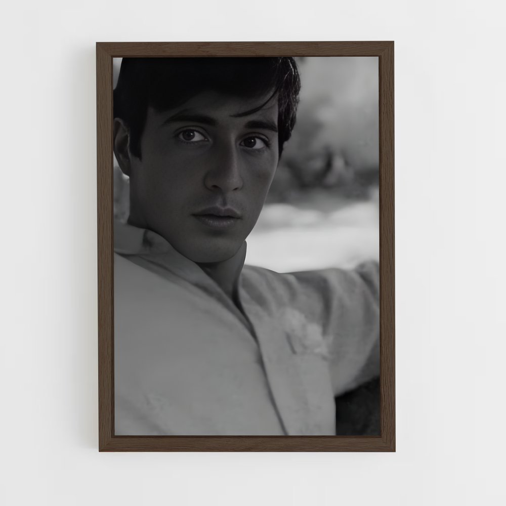 ap-michael corleone-3 cadre Bois foncé