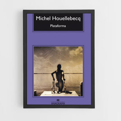 ap-michel houellebecq-4 cadre Noir